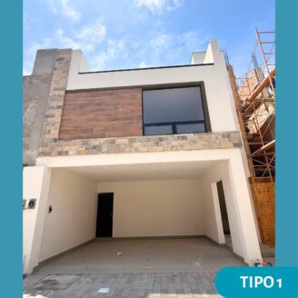 Tipo 1